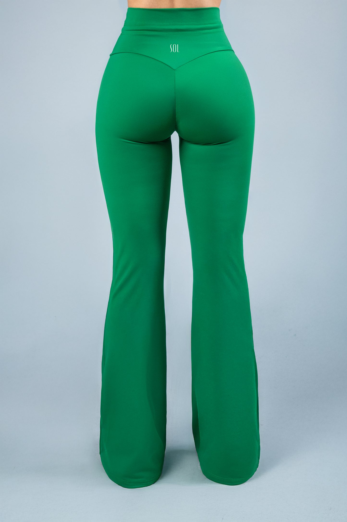 Yoga Leggins ShapePRO Denisse Campana Verde